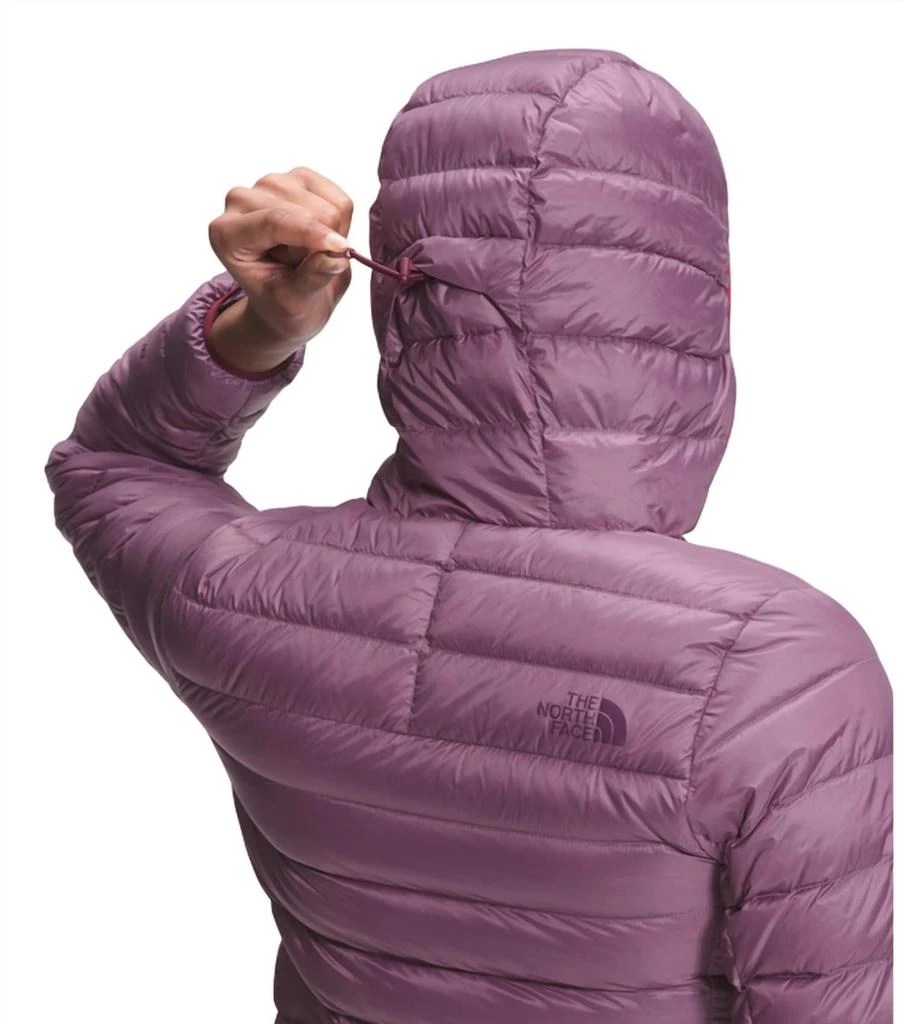 The North Face Sierra Peak Hooded Jacket In Pikes Purple 4