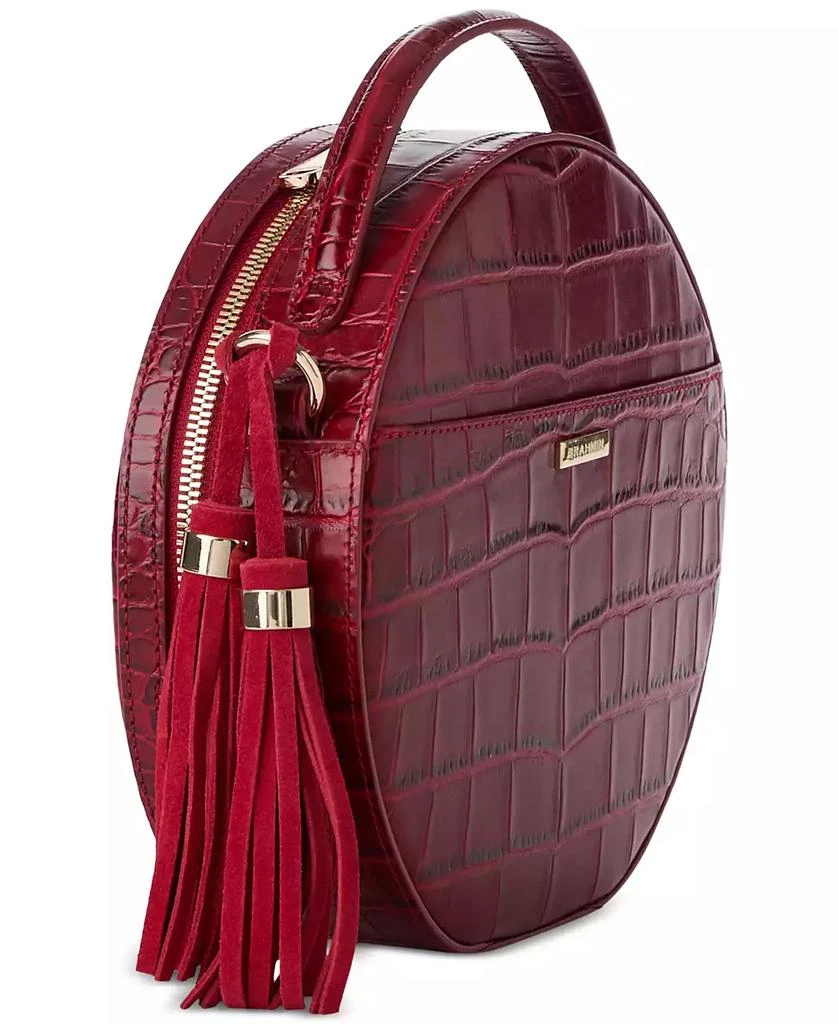 Brahmin Lane Kirin Leather Crossbody 3