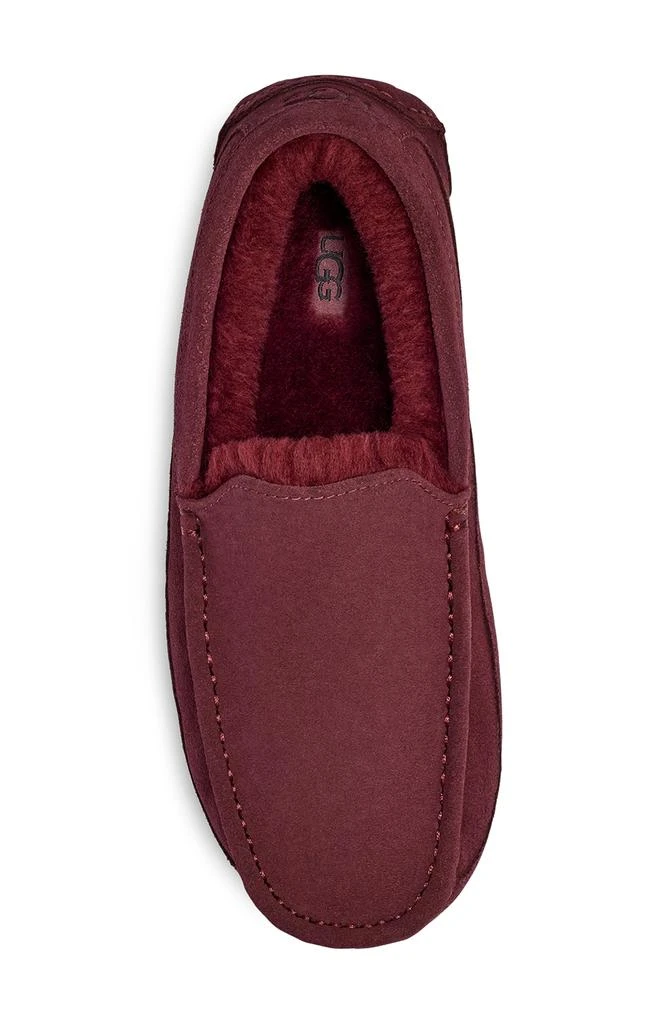 UGG Ascot Slipper 4