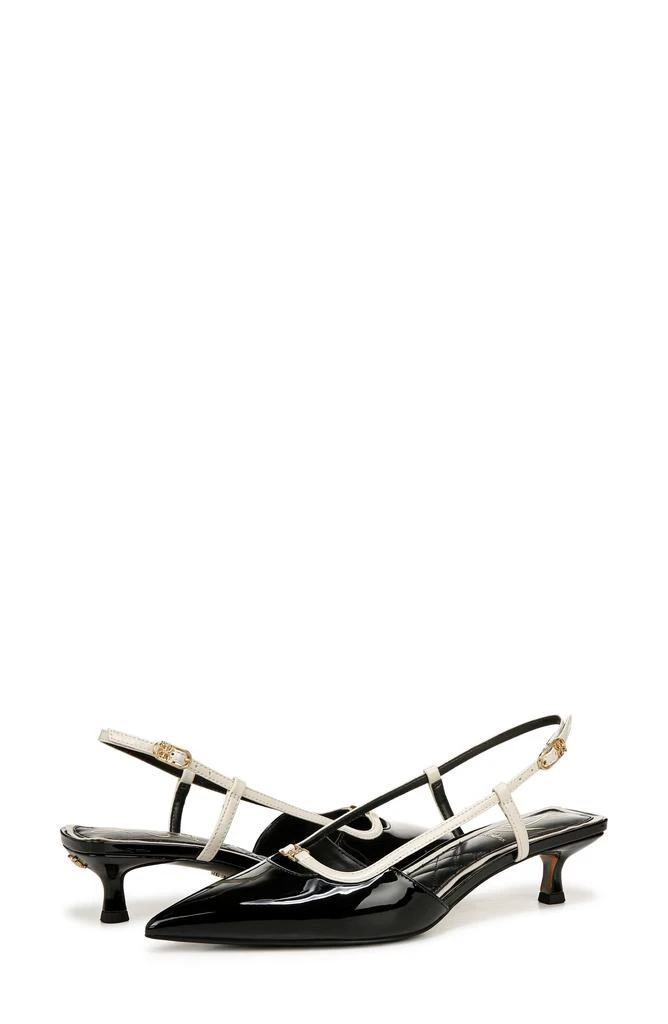 Sam Edelman Toni Slingback Pointed Toe Kitten Heel Pump 10