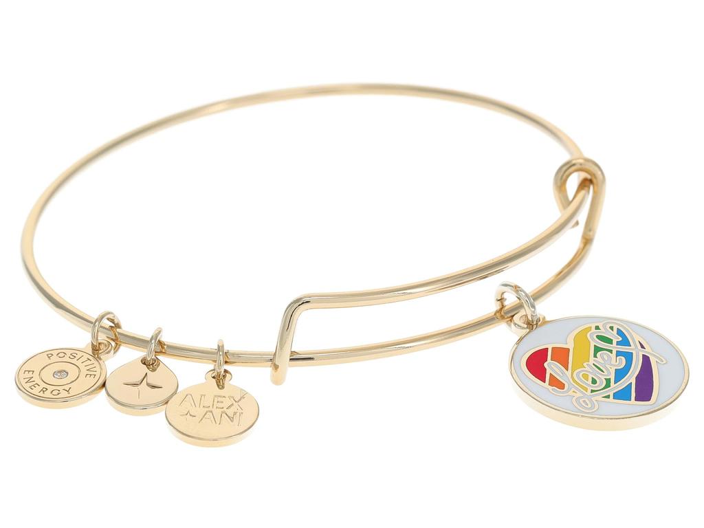 Alex and Ani LOVE Rainbow Heart Bracelet