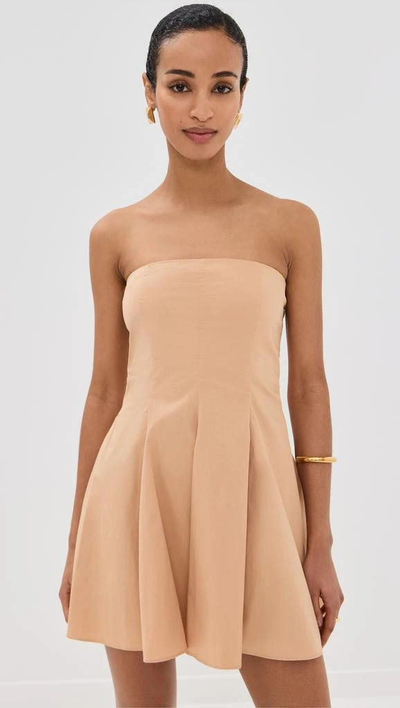 Azeeza Sable Mini Dress 6