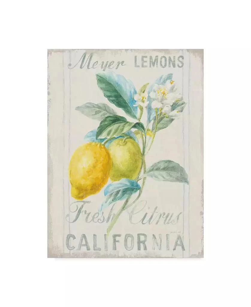 Trademark Global Danhui Nai Floursack Lemon II Canvas Art - 20" x 25"