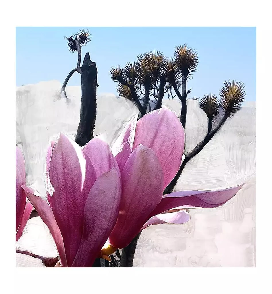 BYREDO Mojave Ghost Hair Perfume, 2.5 oz. 2