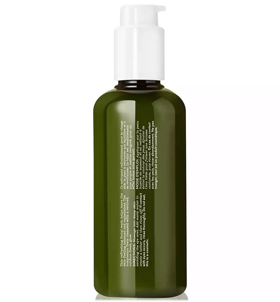 ELEMIS Superfood Facial Wash, 6.7 oz. 2