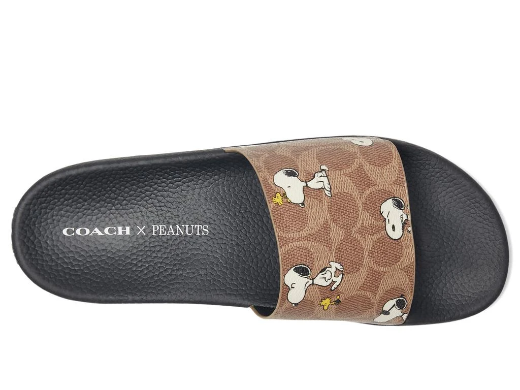Coach Udele Peanuts Sport Slide 2