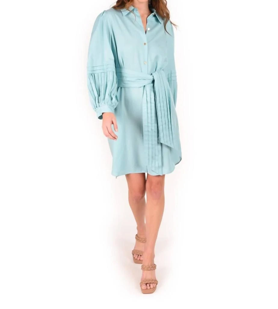 Emily McCarthy Oxford Dress In Aqua Haze 1