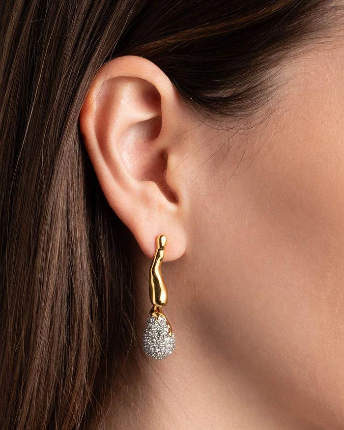 Alexis Bittar Solanales Crystal Dewdrop Earrings 3
