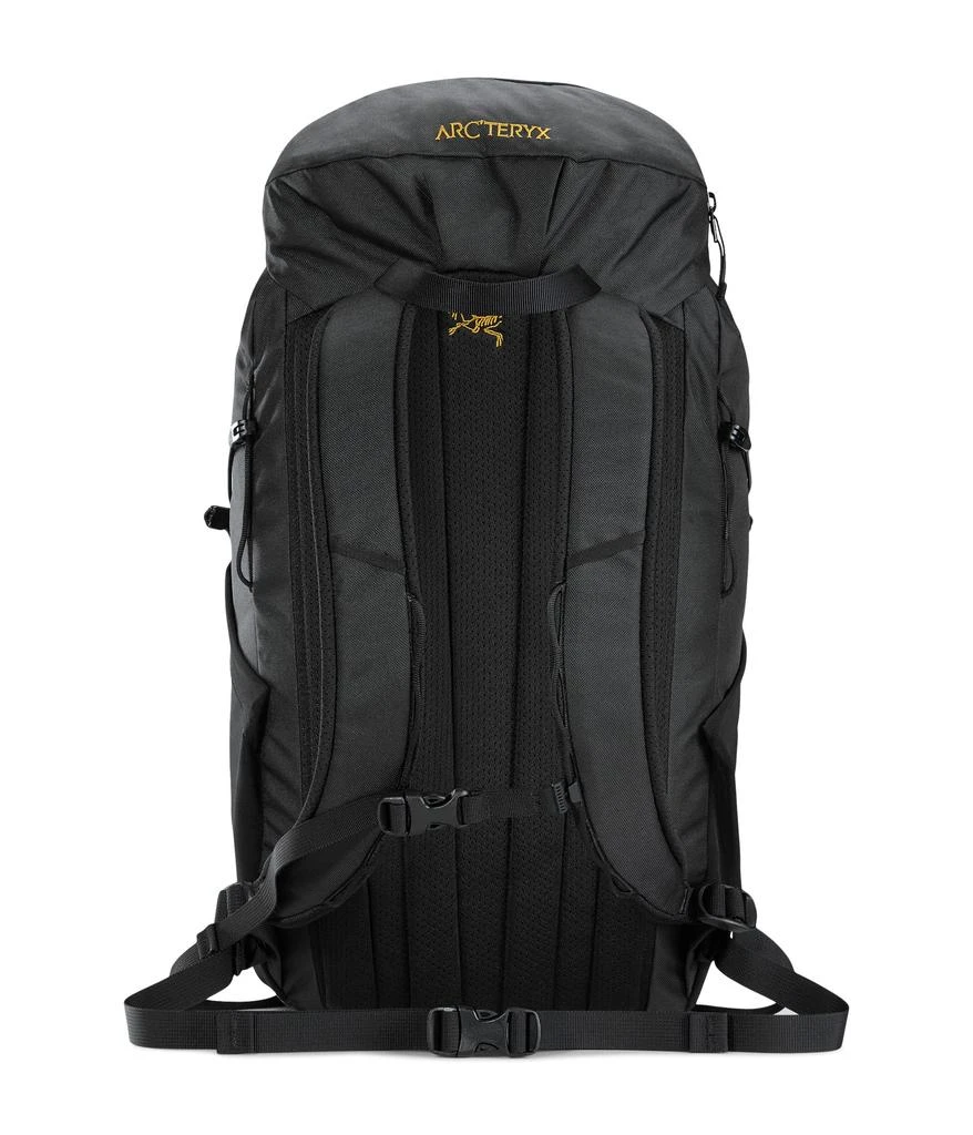 Arc'teryx Mantis 20 Backpack 3