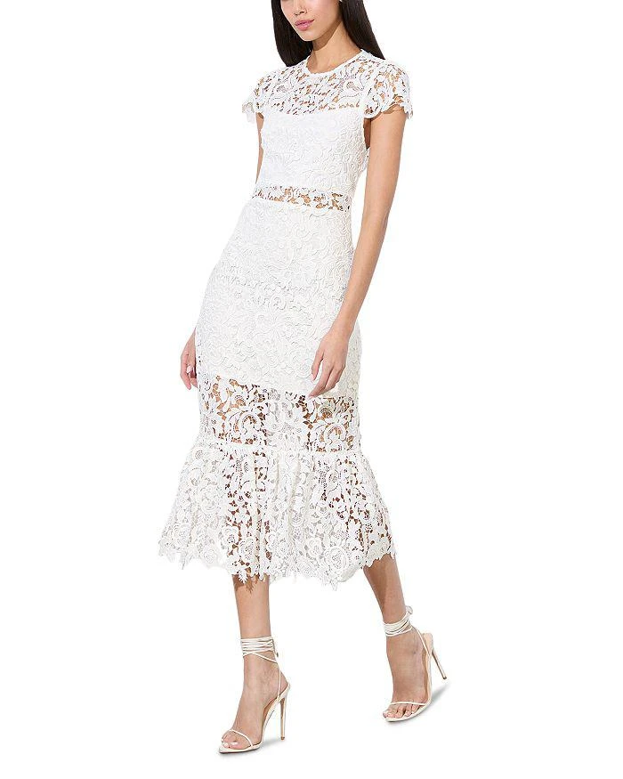 Alice + Olivia Clover Open Back Lace Dress 5