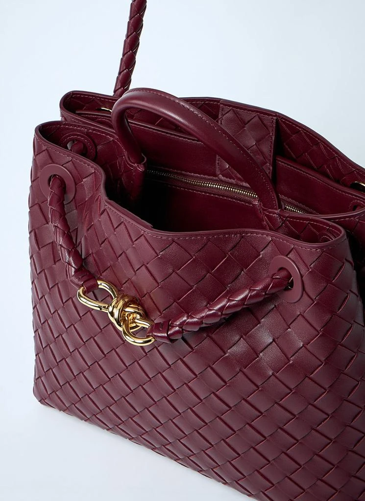 Bottega Veneta Medium Andiamo Handbag 6