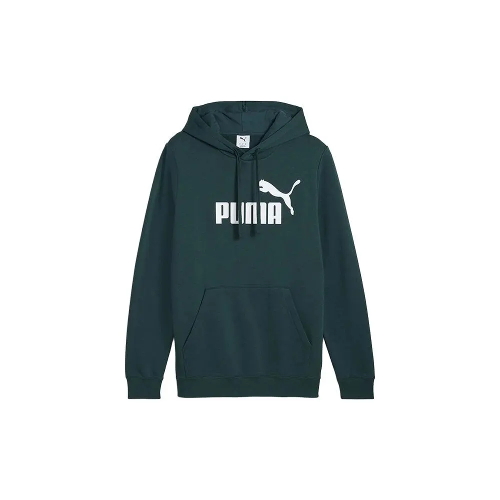 Puma Foundations NO.1 Logo Pullover Hoodie (Youth)
