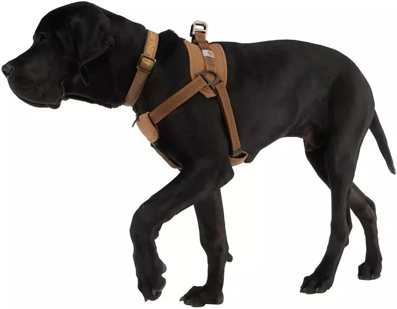 Carhartt Carhartt Dog Training Harness 6