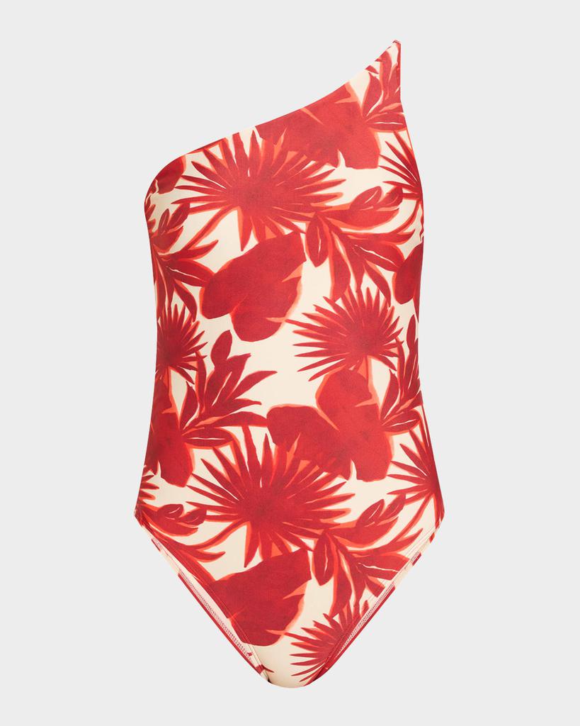 LENNY NIEMEYER Palm Asymmetric Slim One-Piece Swimsuit