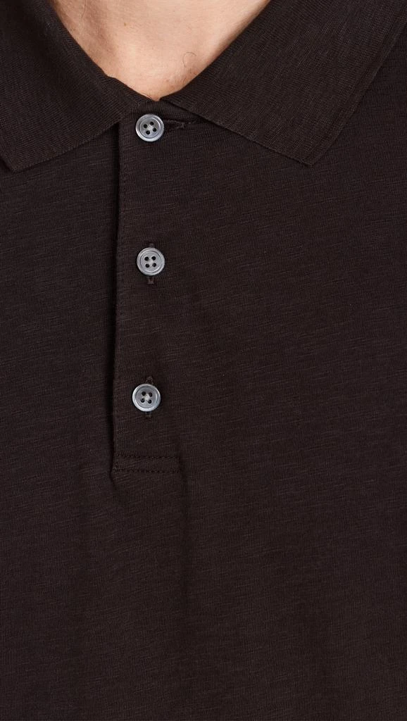 Theory Bron D in Cosmos Polo 5