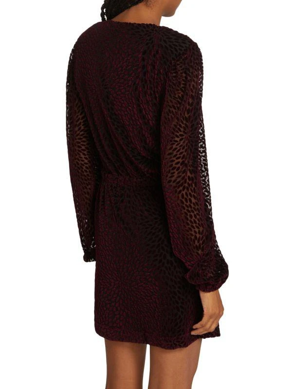 Ramy Brook Aman Embroidered Minidress 2