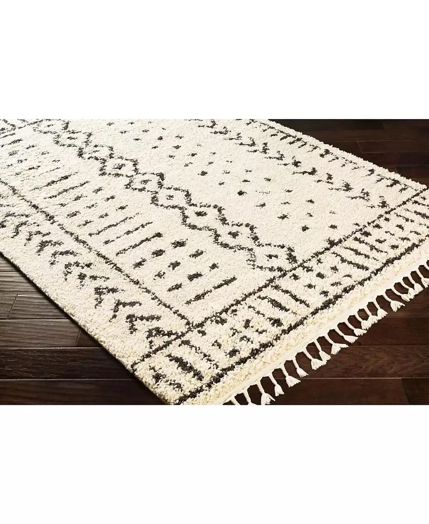 Surya Berber Shag BBE-2311 Charcoal 5
3" x 7
3" Area Rug 2