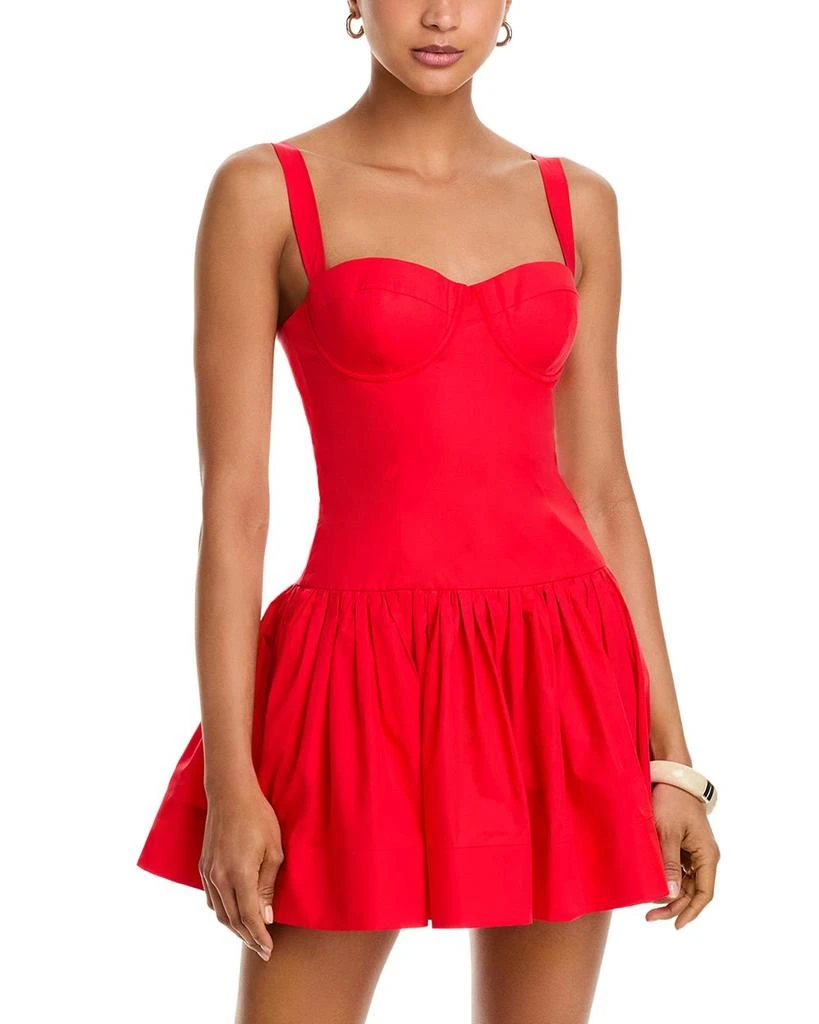 Cara Cara Santiago Mini Dress 1