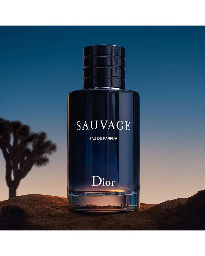Dior Sauvage Eau de Parfum 2