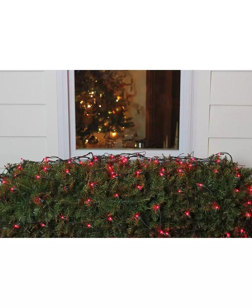 Northlight 4' x 6' Red Mini Incandescent Christmas Net Lights - Green Wire 3