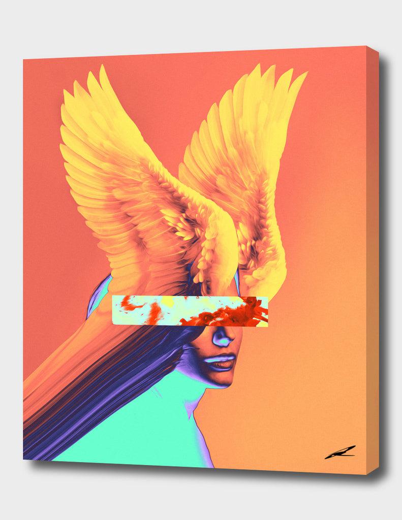 Curioos Chogo
