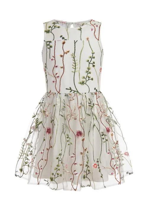 Calvin Klein Girls 4-6x Garden Dress 1
