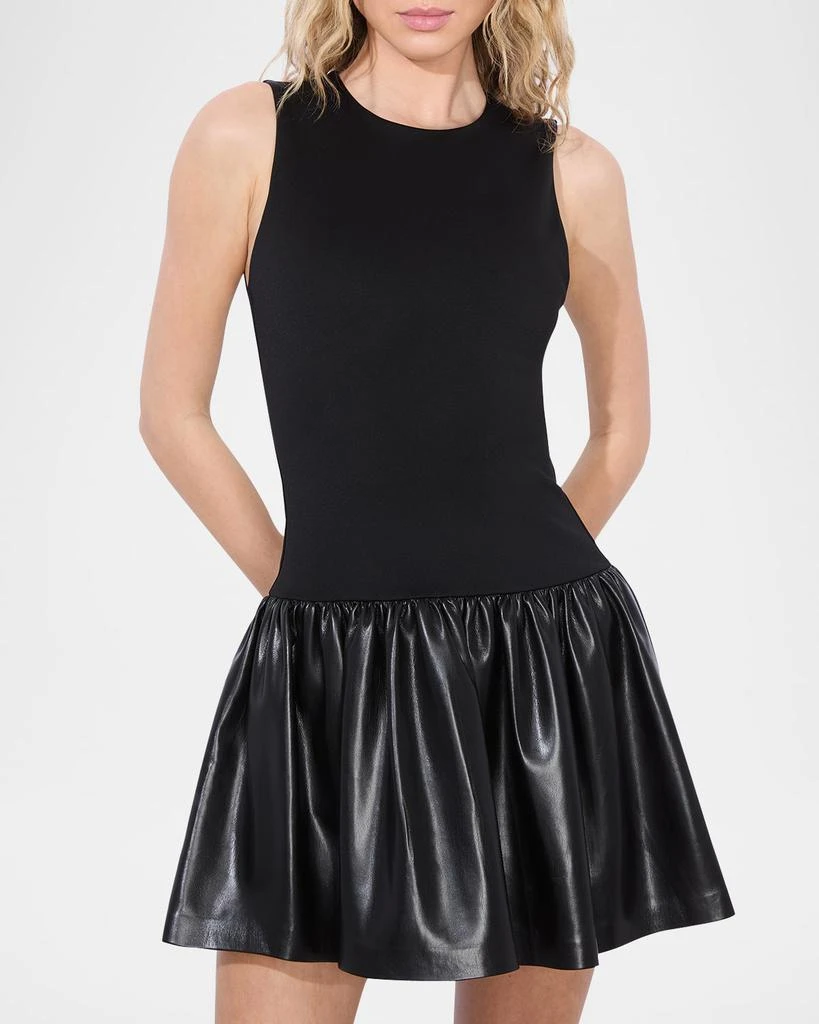 Alice + Olivia Ella Combo Drop-Waist Mini Dress 4
