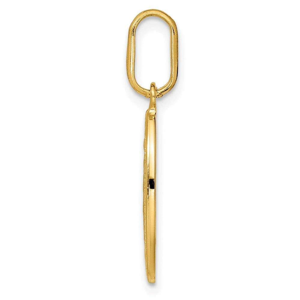 Diamond2Deal 14k Yellow Gold Polished and Matte Oval Miraculous Medal 2