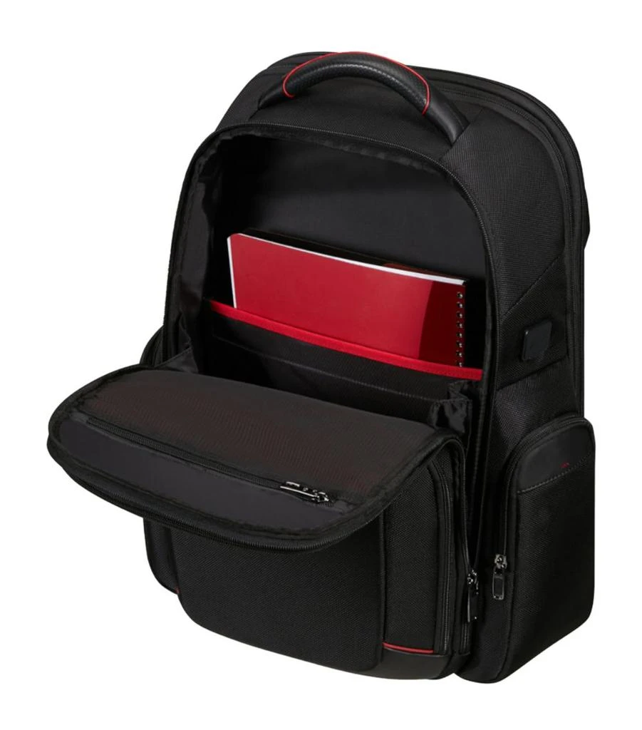 Samsonite Large Pro-DLX 6 Backpack 10