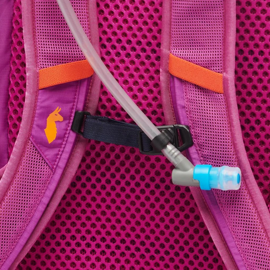 Cotopaxi Lagos 25L Hydration Pack 4