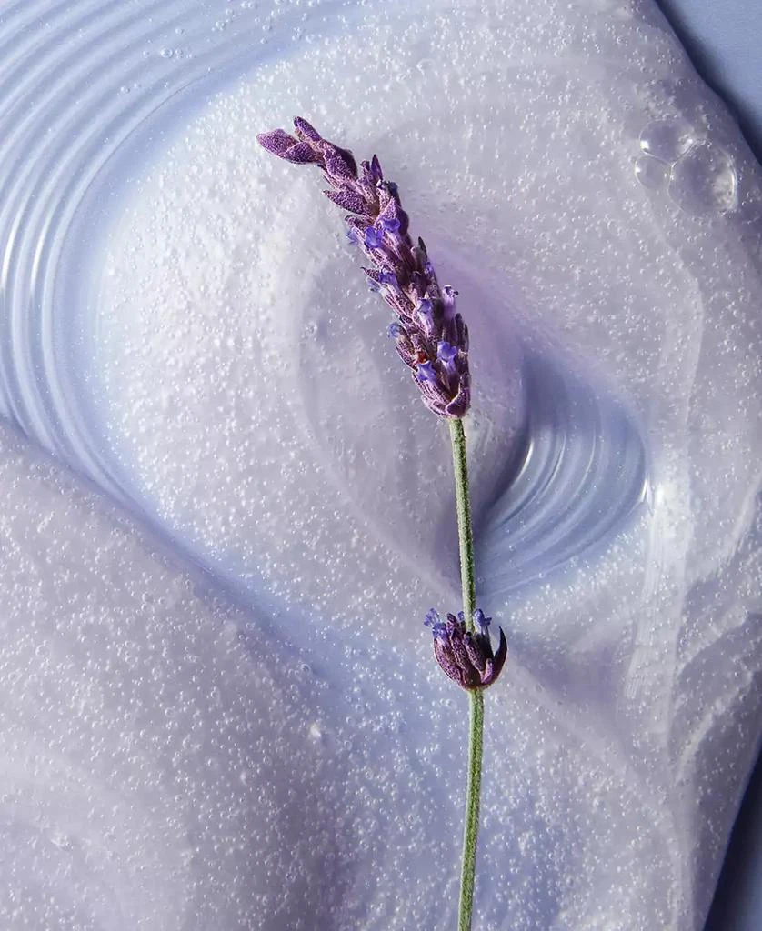 philosophy Amazing Grace Lavender Hydrating Shower Gel 7