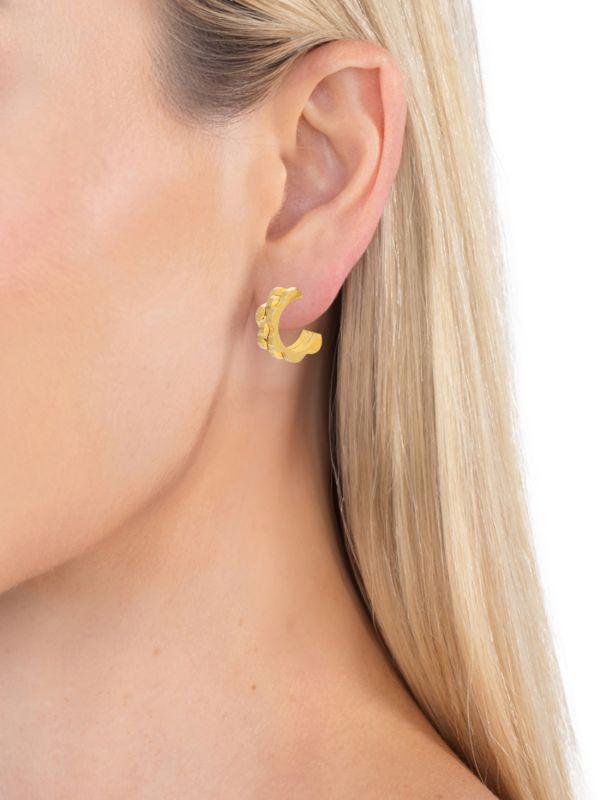 Eye Candy LA Luxe Avena Goldtone Titanium Half Hoop Earrings