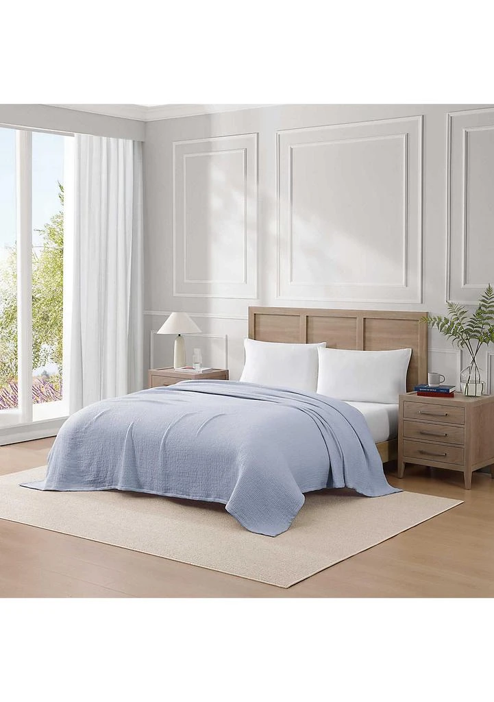 Tommy Hilfiger TH Solid Cotton Blanket