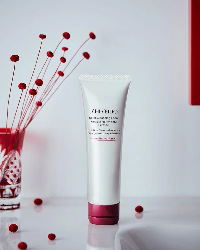 Shiseido Deep Cleansing Foam 4