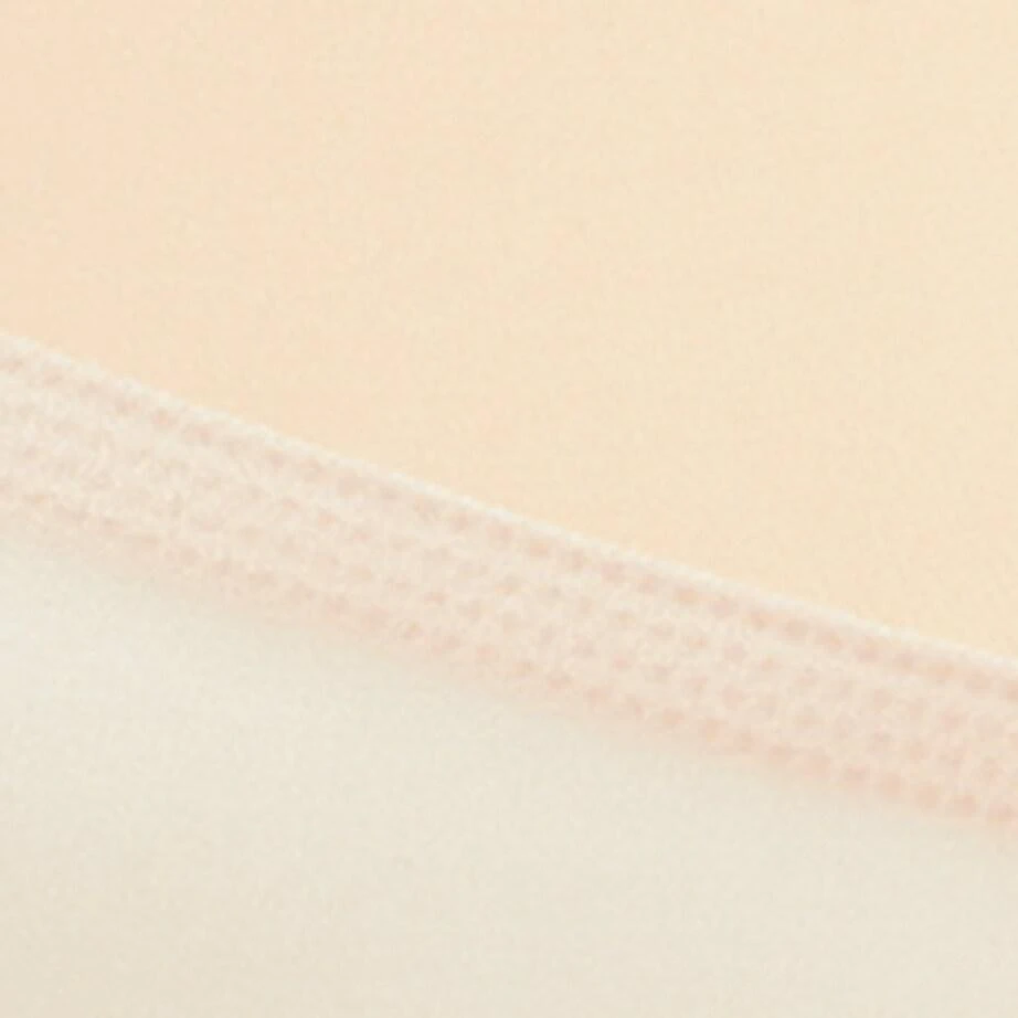 Chantelle Seamless Briefs 9