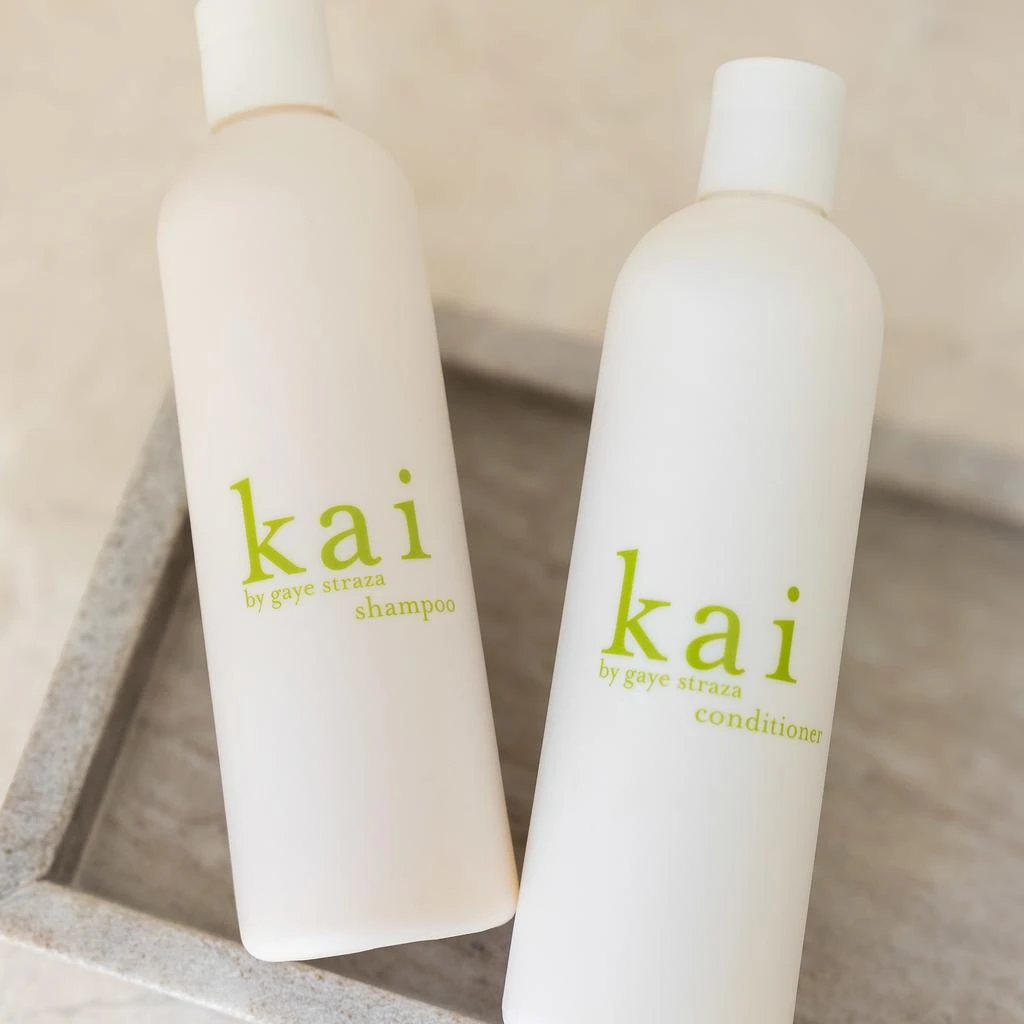 kai kai Conditioner 3
