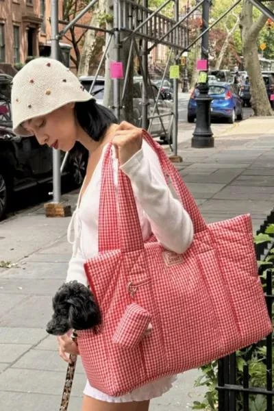 Little Beast Little Beast Signature Puffy Pet Carrier 5