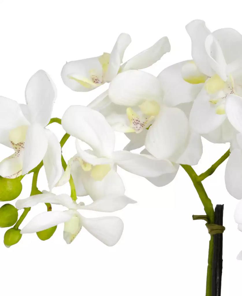 NEARLY NATURAL Phalaenopsis Flower Arrangement