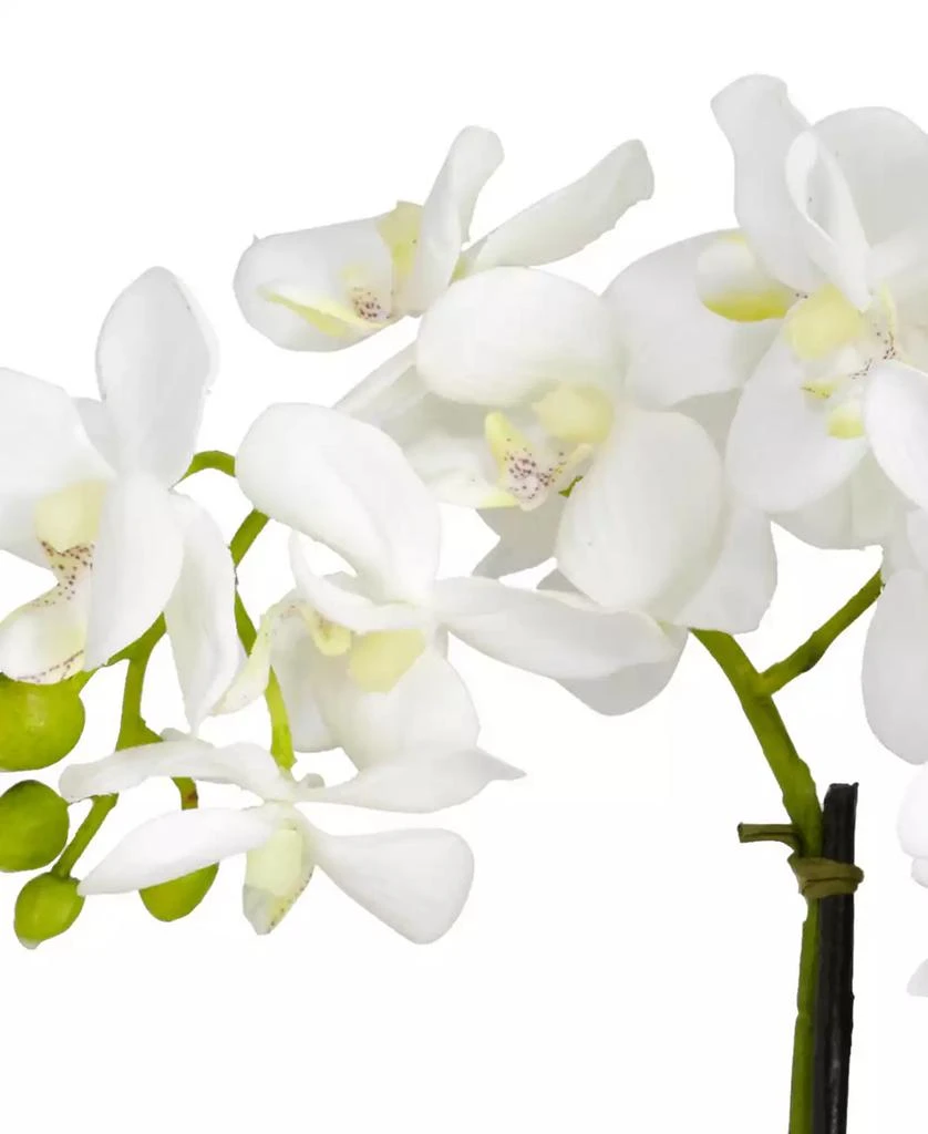 NEARLY NATURAL Phalaenopsis Flower Arrangement 2