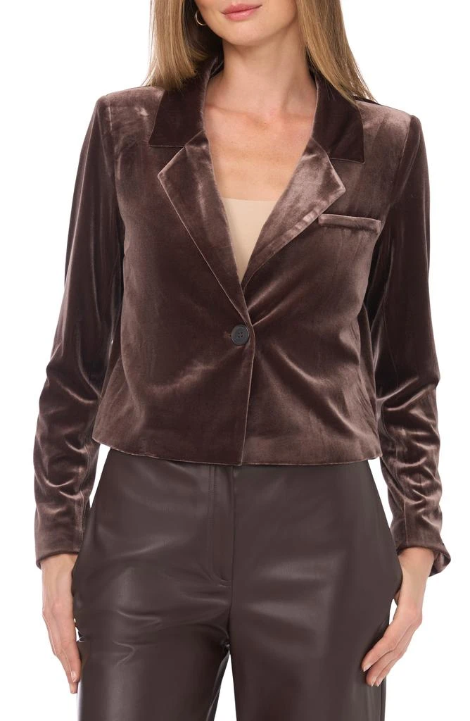 Halogen Velvet Crop Blazer