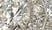 Suzy Levian Sterling Silver White CZ Engagement Ring 7