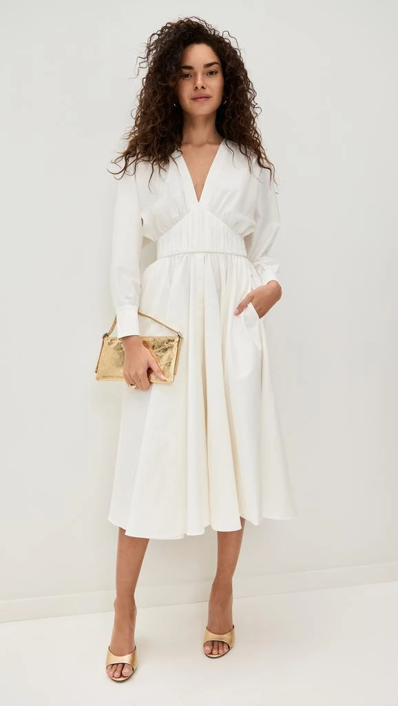 Alexis Viro Dress 4
