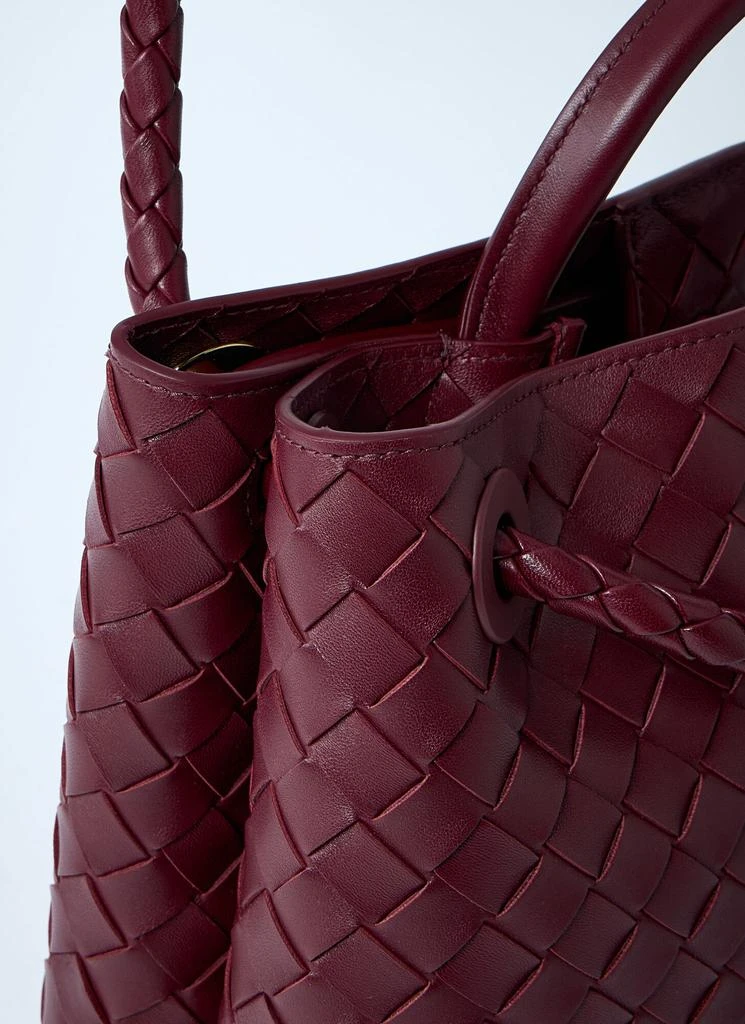 Bottega Veneta Medium Andiamo Handbag 5