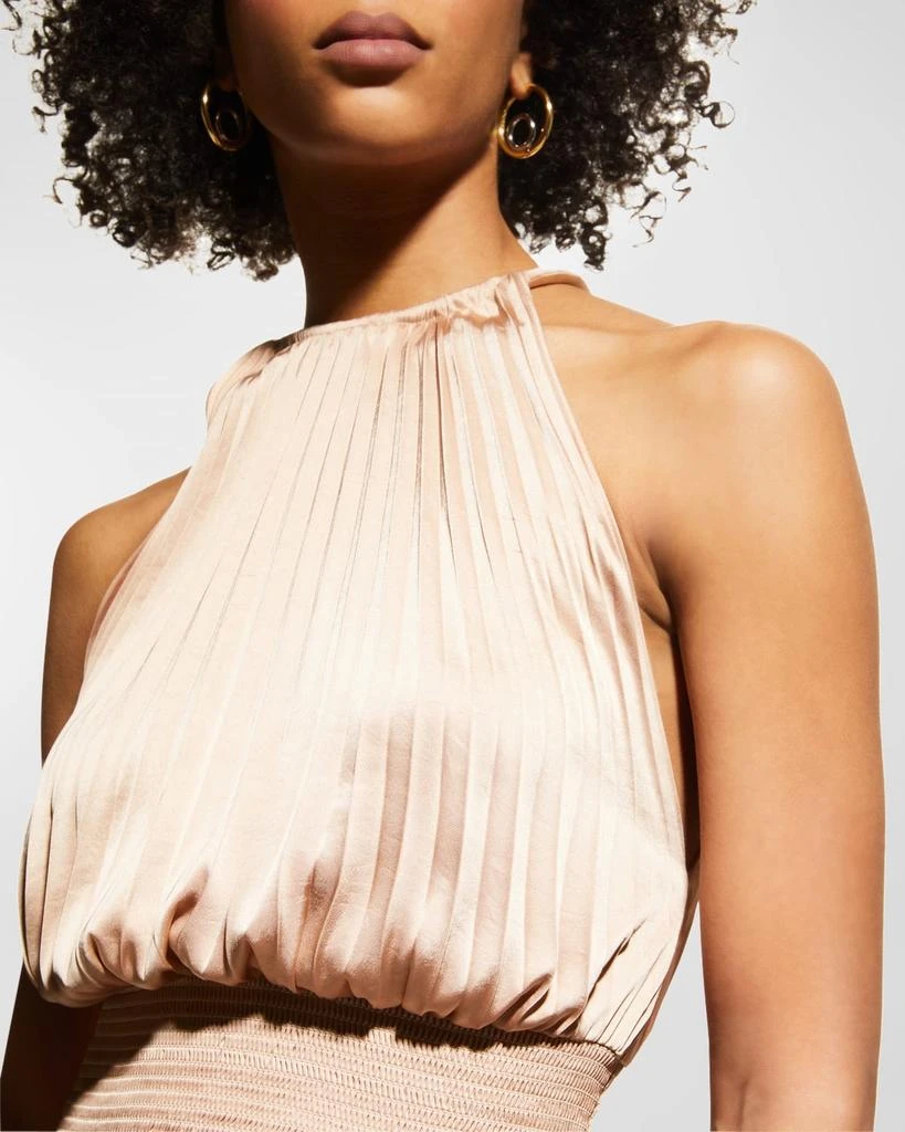 A.L.C. Renzo II Sleeveless Pleated Midi Dress 6