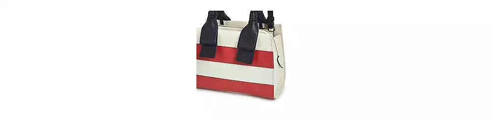 Radley Finch Lane Stripe Small Ziptop Grab 3
