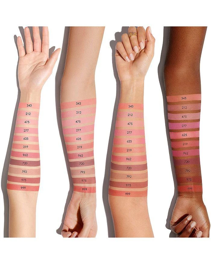 Dior Rouge Blush 4