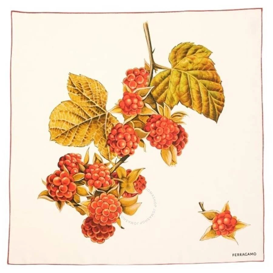 Salvatore Ferragamo Blackberry Print Silk Scarf 1