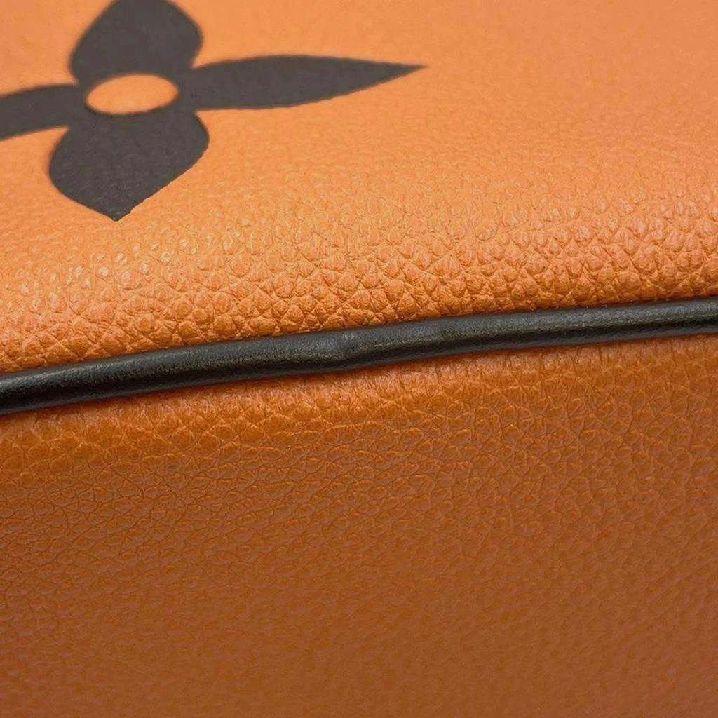 Louis Vuitton Louis Vuitton Caramel/Black Monogram / Giant Neonoe bag 5