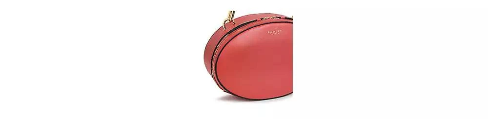 Radley Basil Street - Seahorse Small Zip Around Grab 4