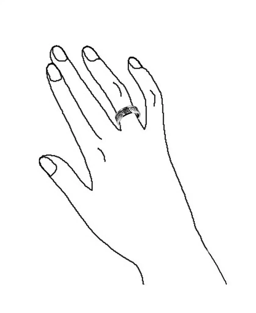 Bling Jewelry Two-Tone Celtic Dragon Knot Carbon Fiber Inlay Band Ring 8MM Titanium 2